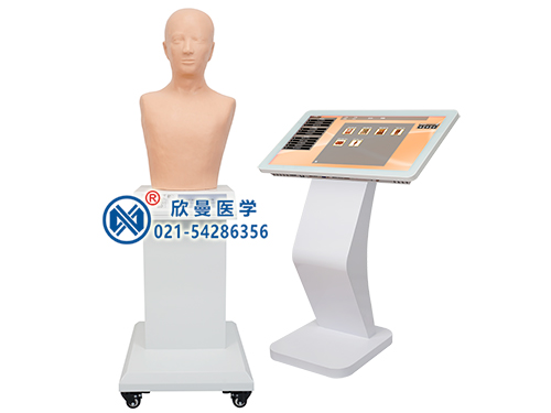 XM-64B多媒體經(jīng)穴學(xué)及針刺仿真訓(xùn)練系統(tǒng)