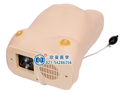 XM-YF2高級電腦孕婦檢查模型,電子孕婦腹部觸診及胎心監(jiān)護(hù)模型,產(chǎn)前檢查模型,四步觸診模型