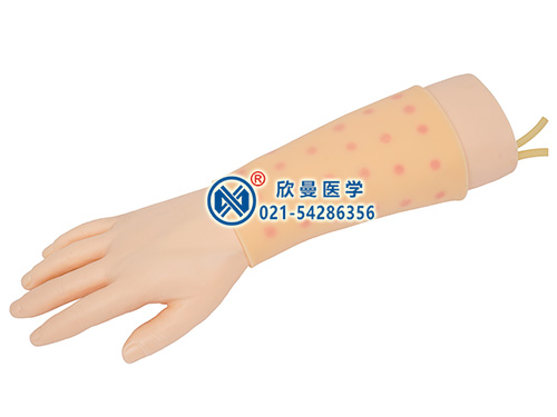 XM-PS-1手臂靜脈穿刺及皮內(nèi)注射操作模型