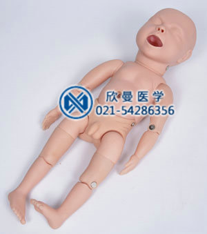 高級新生兒模型正面結(jié)構(gòu)