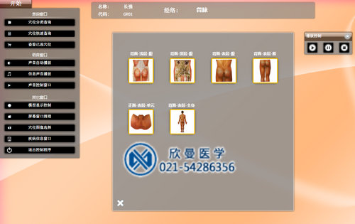 多媒體按摩點(diǎn)穴電子人體模型穴位層次顯示界面