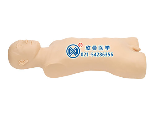 XM-BGC多功能中醫(yī)拔罐刮痧推拿針刺艾灸練習(xí)半身模型
