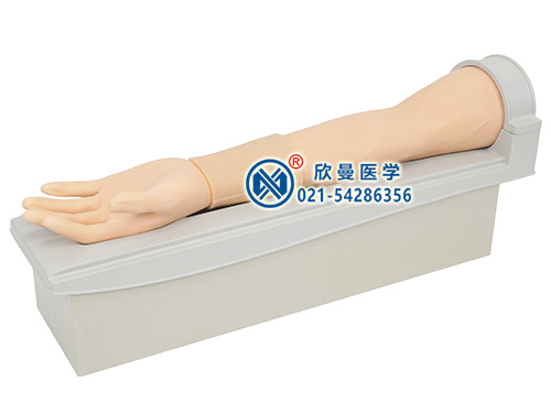 XM-S9全功能旋轉(zhuǎn)式皮內(nèi)注射及靜脈穿刺手臂模型