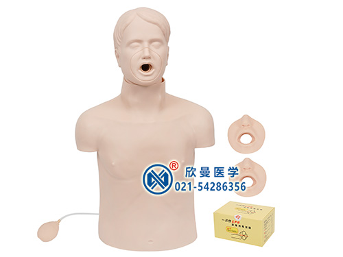 XM/CPR155高級(jí)成人氣道梗塞及CPR模型,梗塞訓(xùn)練模型