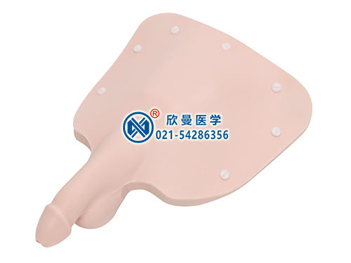 XM-DNMA穿戴式導(dǎo)尿膀胱穿刺訓(xùn)練模型塊,穿戴式導(dǎo)尿膀胱穿刺訓(xùn)練模塊