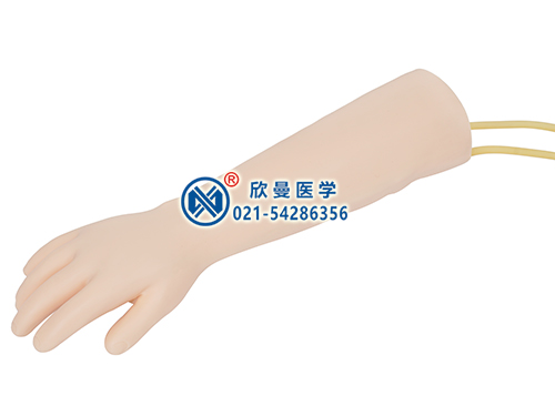 XM-S8高級(jí)兒童靜脈穿刺訓(xùn)練手臂模型,兒童靜脈輸液手臂模型