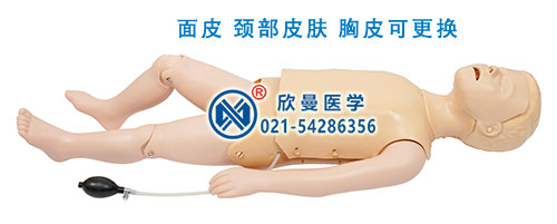 兒童心肺復(fù)蘇模型