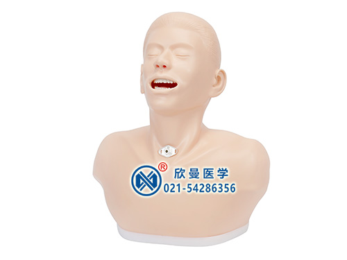 XM-QG2高級(jí)成人氣管切開護(hù)理模型