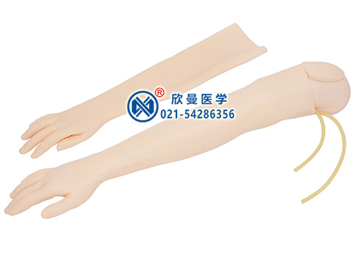 XM-S2A手臂靜脈穿刺及肌肉注射訓(xùn)練模型,靜脈輸液手臂模型
