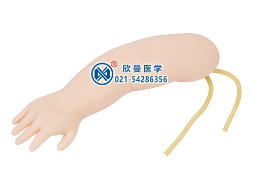 XM-S8A嬰兒靜脈穿刺手臂模型,小兒靜脈輸液手臂模型