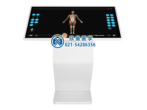 XM-JP42人體3D解剖教學(xué)系統(tǒng)平臺(tái)