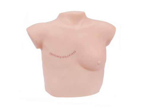 XM-RFC乳房檢查及乳房切除術(shù)后護(hù)理模型