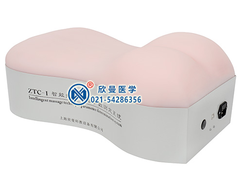 智能推拿手法參數(shù)測評儀整體構造