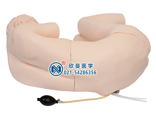 XM-YC腰椎穿刺模擬人,腰椎穿刺訓(xùn)練仿真標準化病人模型