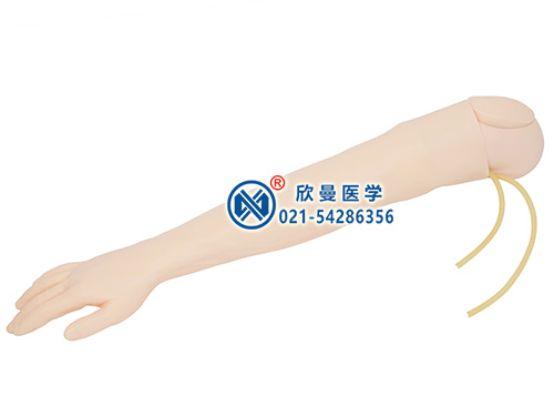 高級靜脈穿刺手臂及肌肉注射模型