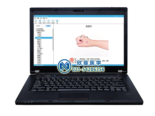 XM-JLX中醫(yī)經(jīng)絡(luò)穴位訓(xùn)練與考試系統(tǒng)