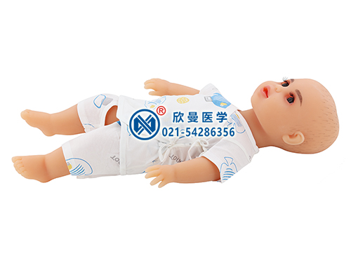XM-YEB高級(jí)新生嬰幼兒護(hù)理模型