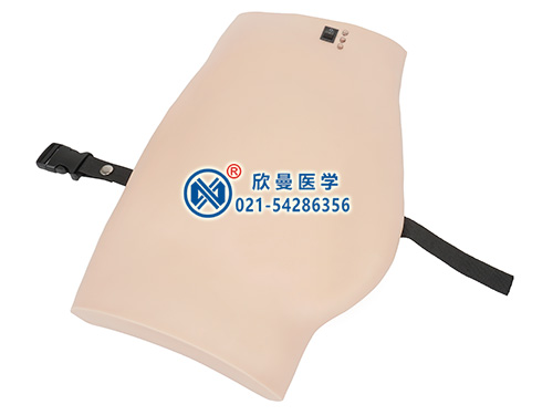 XM-DTB著裝式臀部肌肉注射外套,電子臀部注射訓(xùn)練模型