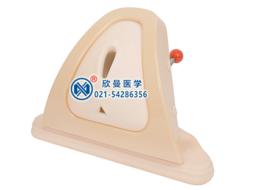 會(huì)陰切開縫合訓(xùn)練模型