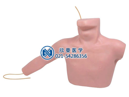 外周穿刺、中心靜脈穿刺插管術(shù)訓(xùn)練仿真模型