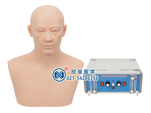 高仿真腦室穿刺引流訓練模型系統(tǒng)