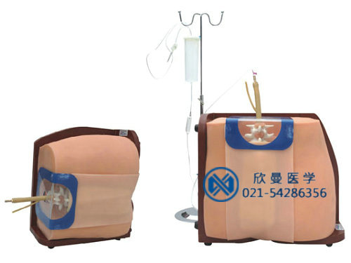 脊椎穿刺模型，脊椎穿刺模擬人