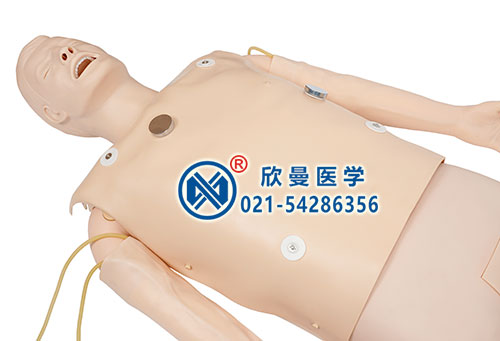 氣管插管、除顫起搏