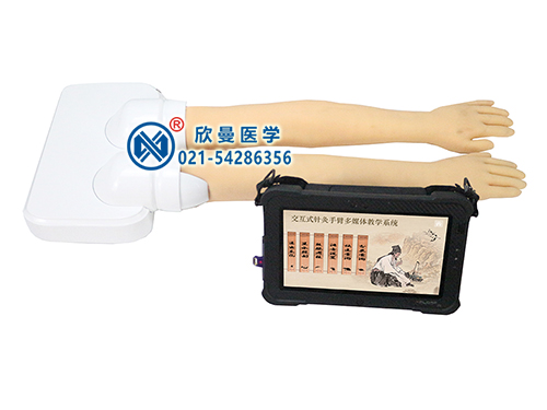XM-ZCS-1多媒體交互式針灸手臂訓(xùn)練模型教學(xué)系統(tǒng)