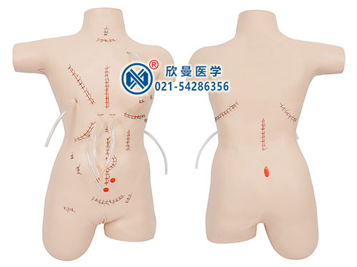XM-WKF外科縫合包扎展示模型,清創(chuàng)縫合模型