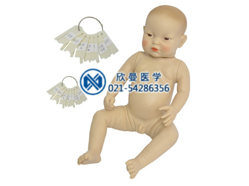 高級(jí)型智能嬰兒互動(dòng)照料模擬人（高智能嬰兒模擬人）