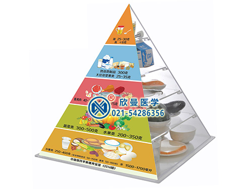 XM-SS膳食寶塔營養(yǎng)食物交換份模型,膳食平衡寶塔模型