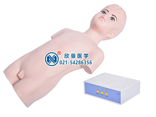 XM-RXD兒童胸腔穿刺訓(xùn)練模擬人體模型