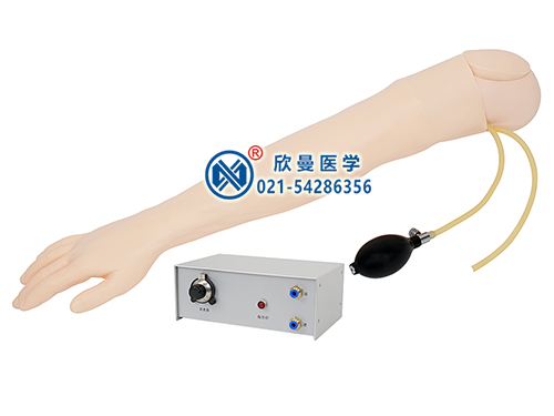 XM-S4-1高級全功能動(dòng)脈與靜脈穿刺手臂模型