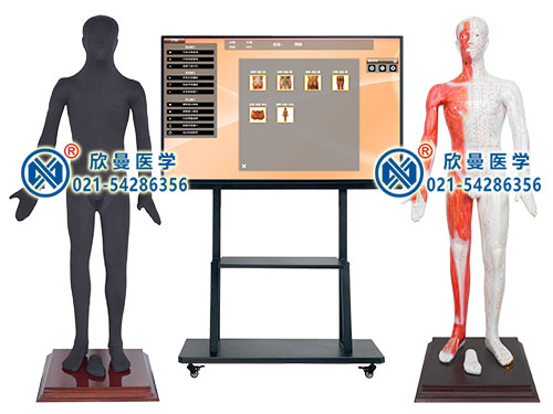 XM-55M19-75寸多媒體人體針灸穴交互數(shù)字平臺(tái)