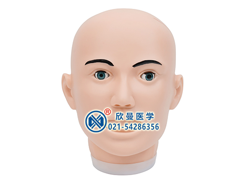 清創(chuàng)縫合訓練頭部模型