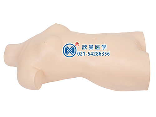 XM-YQ術(shù)前無菌術(shù)操作訓(xùn)練模型人,消毒鋪巾模擬人