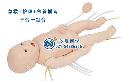 新生兒心肺復蘇模擬人整體構(gòu)造