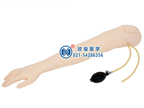 XM-S4-3高級(jí)動(dòng)脈與靜脈穿刺手臂模型,綜合手臂操作模型