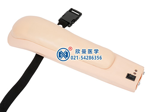 XM-SB高級(jí)電子上臂肌肉注射訓(xùn)練模型,佩戴式上臂肌肉注射模型