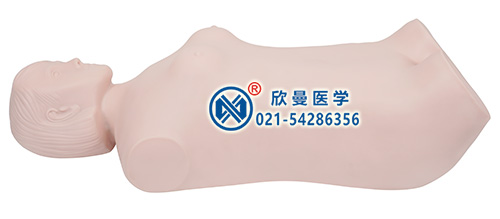全自動腹部觸診聽診模擬人整體結(jié)構(gòu)