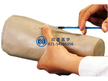 皮內(nèi)注射手臂模型