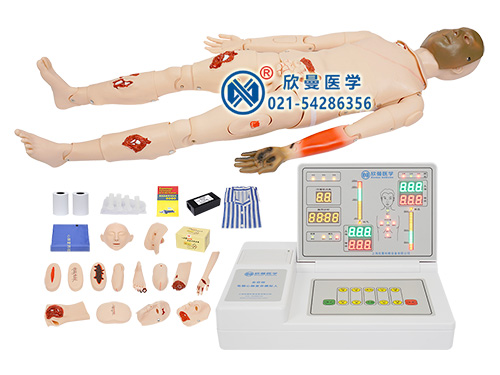XM-CS700高級(jí)全功能創(chuàng)傷與CPR模型人