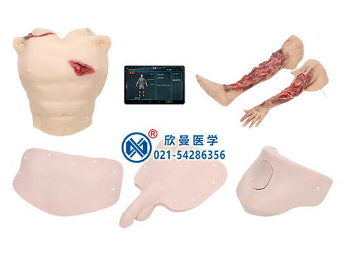 XM-ZSM5A穿戴式戰(zhàn)救技能模擬訓(xùn)練組合模塊