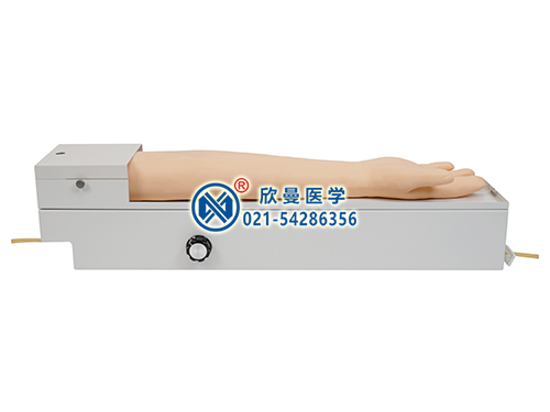 XM-S4A全功能旋轉(zhuǎn)式橈動(dòng)脈穿刺手臂模型