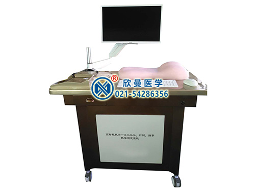 高智能數(shù)字—體化脈象、針刺、推拿、體質(zhì)辨識、問診教學測定系統(tǒng)