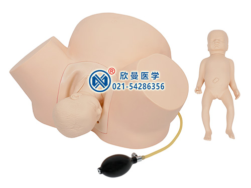 XM-NC高級(jí)難產(chǎn)訓(xùn)練示教練習(xí)模型,難產(chǎn)操作模型