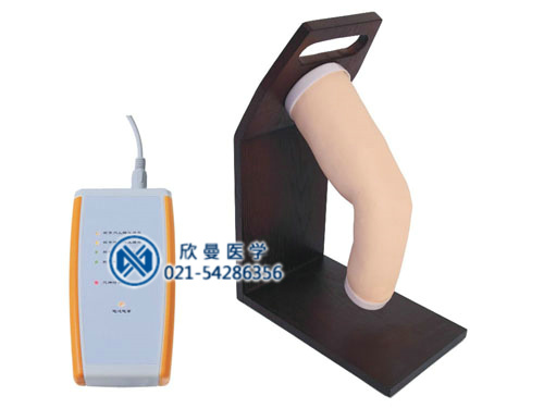 肘關節(jié)腔內注射模型