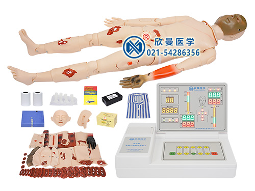 XM-CS800高級(jí)全功能創(chuàng)傷與CPR模擬人
