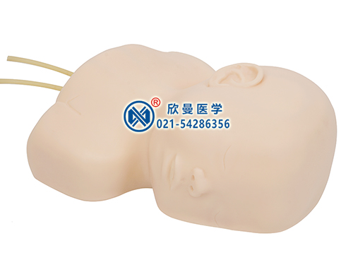 XM-T2嬰兒頭皮靜脈穿刺訓(xùn)練模型,小兒頭皮靜脈穿刺模型