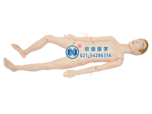XM-GZA閉合性骨折固定及脊髓損傷搬運(yùn)模型